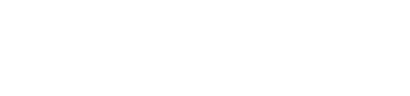 BLITZWAY JAPAN