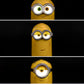 CARBOTIX POP スチュワート